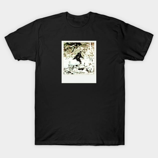 Instantly Famous - Sasquatch T-Shirt by Gary's Scaries